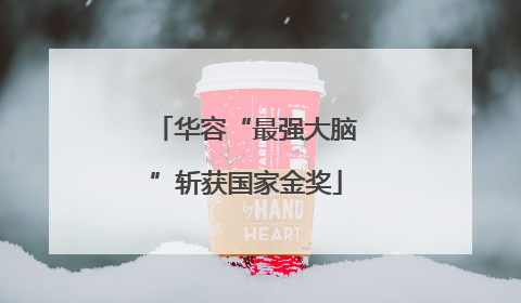 华容“最强大脑”斩获国家金奖