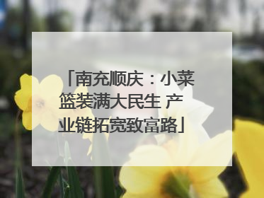 南充顺庆：小菜篮装满大民生 产业链拓宽致富路