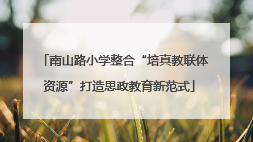 南山路小学整合“培真教联体资源”打造思政教育新范式