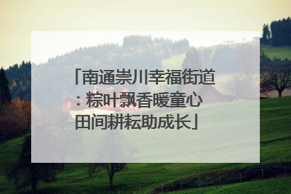南通崇川幸福街道：粽叶飘香暖童心 田间耕耘助成长