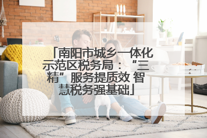 南阳市城乡一体化示范区税务局：“三精”服务提质效 智慧税务强基础