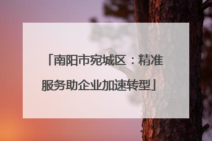南阳市宛城区：精准服务助企业加速转型