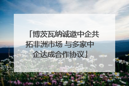 博茨瓦纳诚邀中企共拓非洲市场 与多家中企达成合作协议
