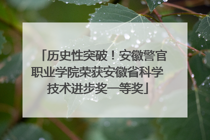 历史性突破！安徽警官职业学院荣获安徽省科学技术进步奖一等奖