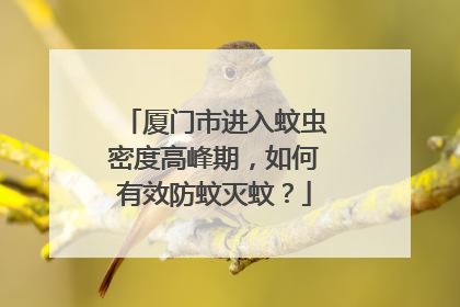 厦门市进入蚊虫密度高峰期，如何有效防蚊灭蚊？