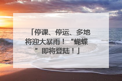 停课、停运、多地将迎大暴雨！“蝴蝶”即将登陆！