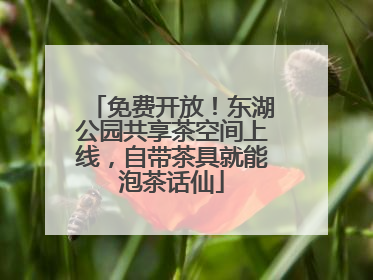 免费开放！东湖公园共享茶空间上线，自带茶具就能泡茶话仙