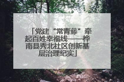 党建“常青藤”牵起百姓幸福线——桦南县秀北社区创新基层治理纪实