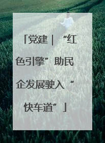 党建｜“红色引擎”助民企发展驶入“快车道”
