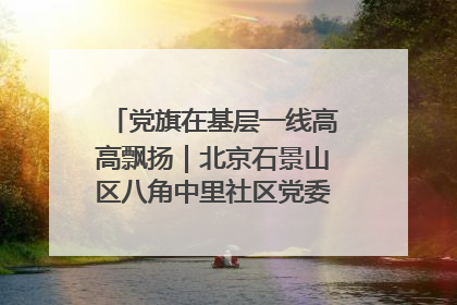 党旗在基层一线高高飘扬｜北京石景山区八角中里社区党委：用脚步丈量民生