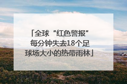 全球“红色警报”  每分钟失去18个足球场大小的热带雨林