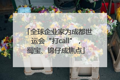 全球企业家为成都世运会“打call”，蜀宝、锦仔成焦点