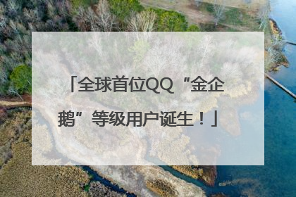 全球首位QQ“金企鹅”等级用户诞生！