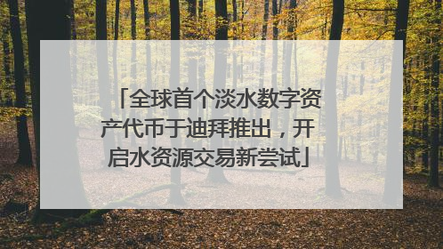 全球首个淡水数字资产代币于迪拜推出，开启水资源交易新尝试