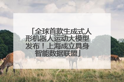 全球首款生成式人形机器人运动大模型发布！上海成立具身智能数据联盟
