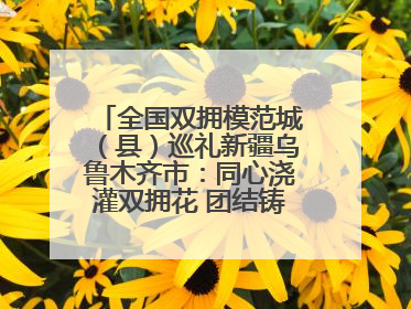 全国双拥模范城（县）巡礼新疆乌鲁木齐市：同心浇灌双拥花 团结铸就军民情