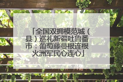 全国双拥模范城（县）巡礼新疆吐鲁番市：葡萄藤蔓根连根 火洲军民心连心