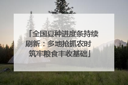 全国夏种进度条持续刷新：多地抢抓农时 筑牢粮食丰收基础