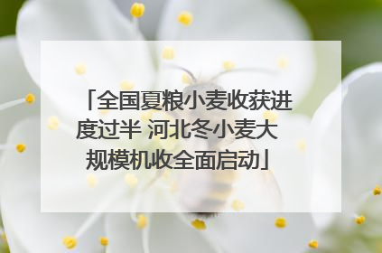 全国夏粮小麦收获进度过半 河北冬小麦大规模机收全面启动