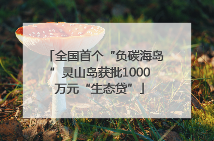 全国首个“负碳海岛”灵山岛获批1000万元“生态贷”