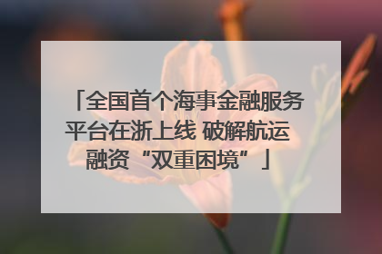 全国首个海事金融服务平台在浙上线 破解航运融资“双重困境”