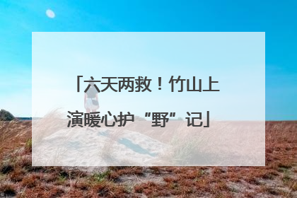 六天两救！竹山上演暖心护“野”记