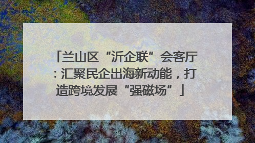 兰山区“沂企联”会客厅：汇聚民企出海新动能，打造跨境发展“强磁场”
