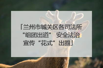 兰州市城关区各司法所“组团出道” 安全法治宣传“花式”出圈
