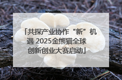 共探产业协作“新”机遇 2025金熊猫全球创新创业大赛启动
