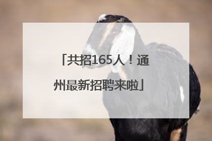 共招165人！通州最新招聘来啦