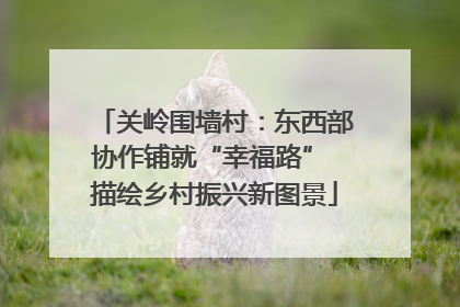 关岭围墙村：东西部协作铺就“幸福路” 描绘乡村振兴新图景