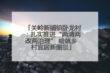 关岭新铺镇卧龙村：扎实推进“两清两改两治理” 绘就乡村宜居新图景