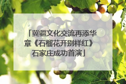 冀疆文化交流再添华章《石榴花开别样红》石家庄成功首演