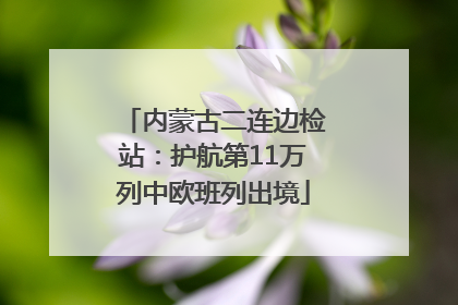 内蒙古二连边检站：护航第11万列中欧班列出境