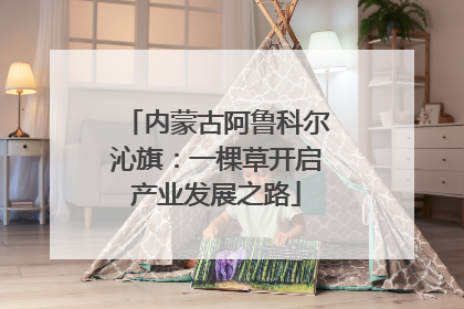 内蒙古阿鲁科尔沁旗：一棵草开启产业发展之路
