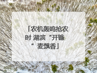 农机轰鸣抢农时 湖滨“开镰”麦飘香