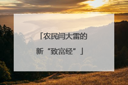 农民闫大雷的新“致富经”