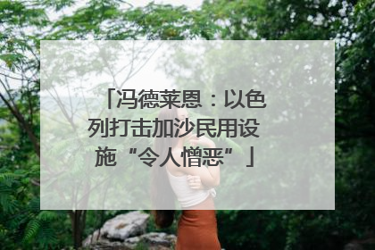 冯德莱恩：以色列打击加沙民用设施“令人憎恶”