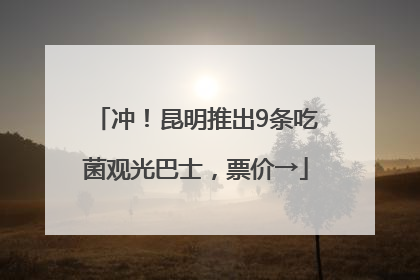 冲！昆明推出9条吃菌观光巴士，票价→