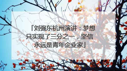 刘强东杭州演讲：梦想只实现了三分之一，坚信永远是青年企业家