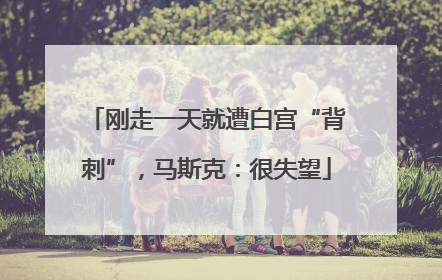 刚走一天就遭白宫“背刺”，马斯克：很失望