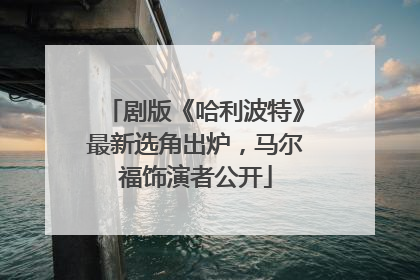 剧版《哈利波特》最新选角出炉，马尔福饰演者公开