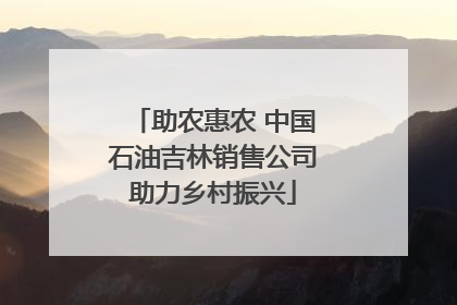 助农惠农 中国石油吉林销售公司助力乡村振兴