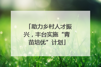 助力乡村人才振兴，丰台实施“青苗培优”计划