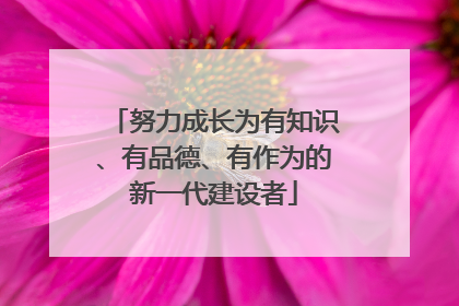 努力成长为有知识、有品德、有作为的新一代建设者