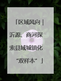 区域风向｜沂源、商河探索县域城镇化“双样本”