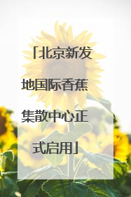 北京新发地国际香蕉集散中心正式启用