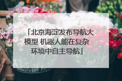 北京海淀发布导航大模型 机器人能在复杂环境中自主导航