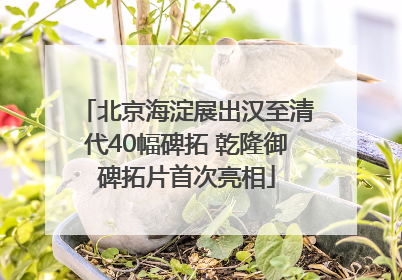 北京海淀展出汉至清代40幅碑拓 乾隆御碑拓片首次亮相