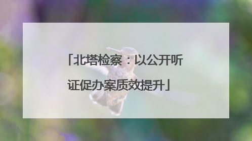 北塔检察：以公开听证促办案质效提升